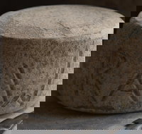 Bruny Island Cheese Co. - Gold Coast Attractions