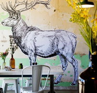 Elk Espresso - Gold Coast Attractions