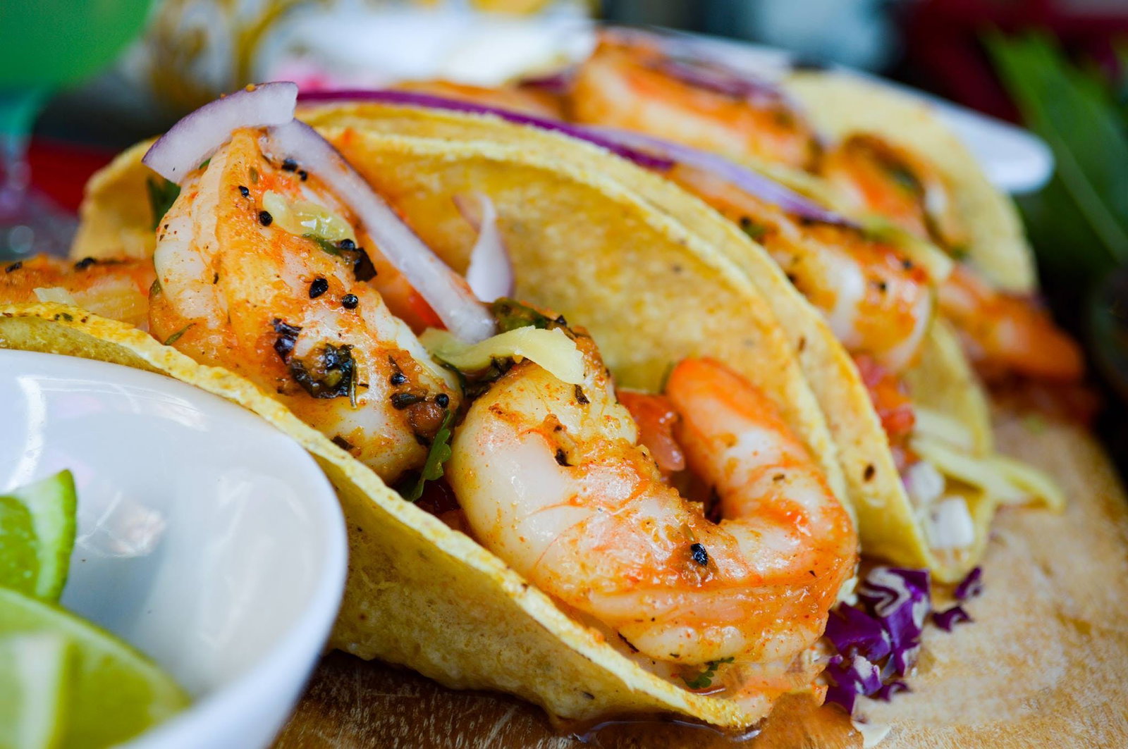 Southern Sunshine Coast QLD Gold Coast Attractions