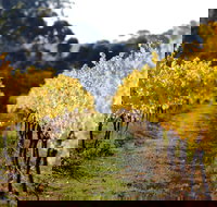 Prickly Moses Brewery - Gold Coast Attractions