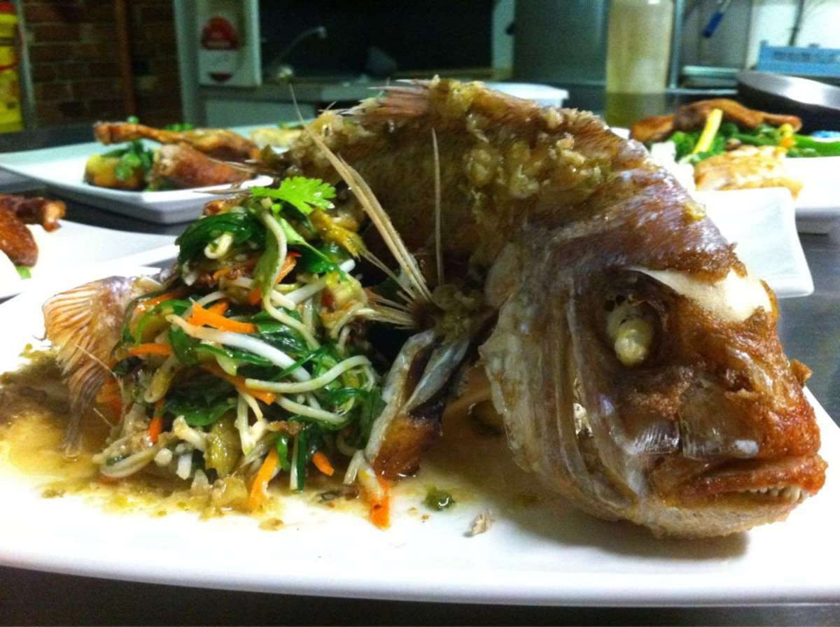 Traralgon VIC Gold Coast Attractions