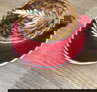 Two Sparrows Coffee  Kitchen - Gold Coast Attractions