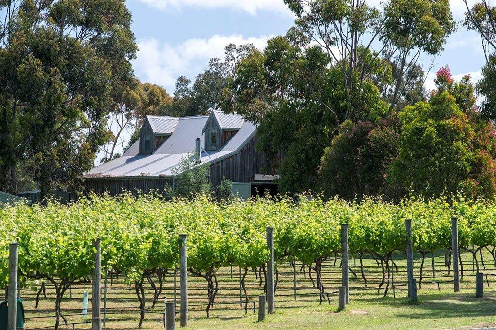 Wallington VIC Gold Coast Attractions