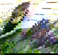 Chiswick Restaurant Woollahra - Gold Coast Attractions