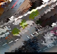 Coffee Plus of Ivanhoe - Gold Coast Attractions