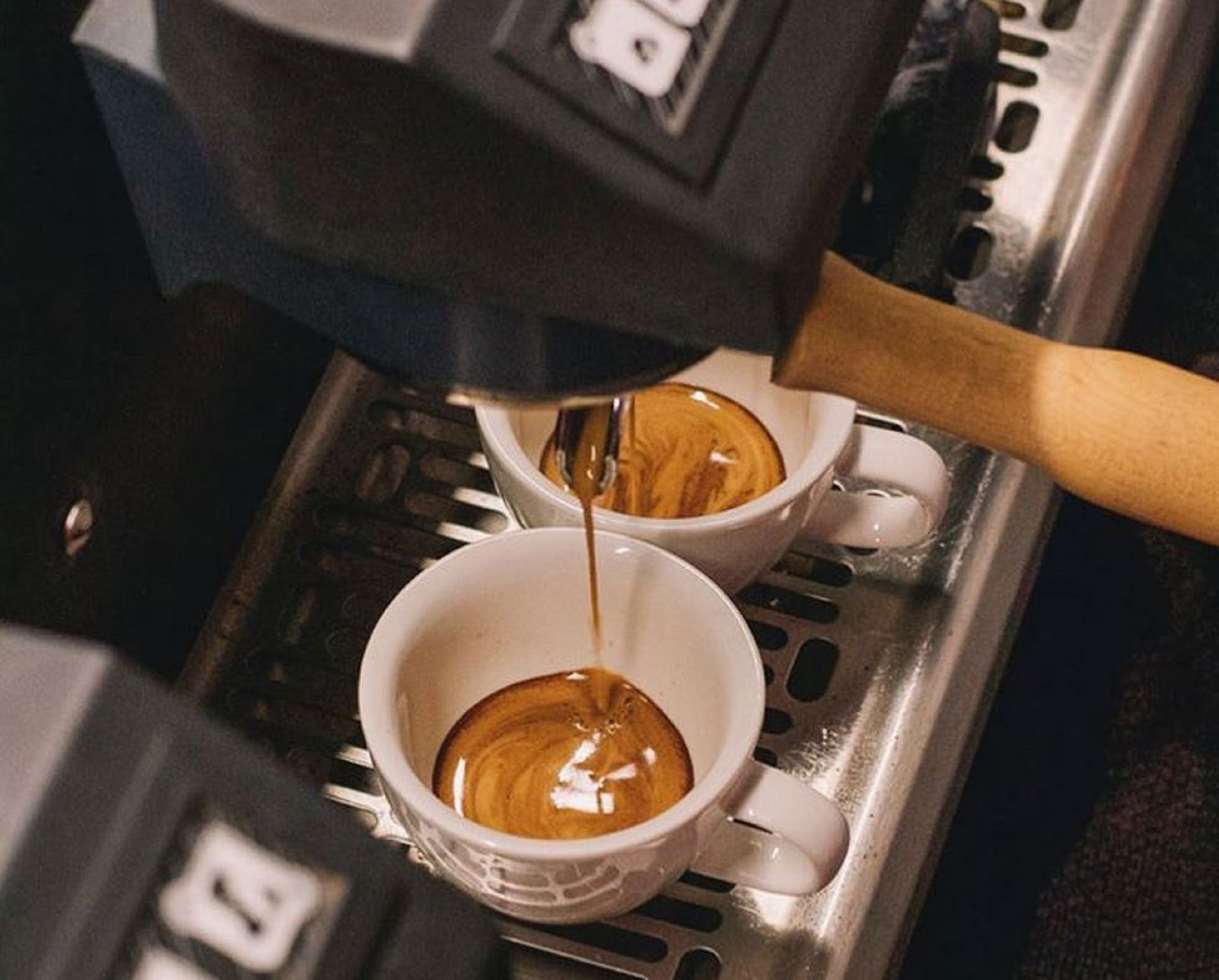  Gold Coast Attractions