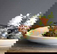 Daark Espresso Bar - Gold Coast Attractions