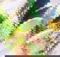 Minimo - Gold Coast Attractions