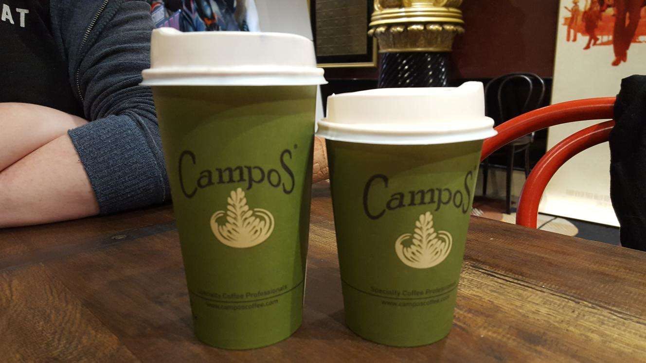 Bulimba QLD Gold Coast Attractions