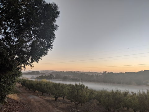 Paracombe Premium Perry - Gold Coast Attractions 2