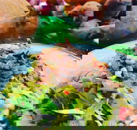 Salad Bar - Surry Hills - Gold Coast Attractions