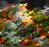 Talk to Me - Gold Coast Attractions