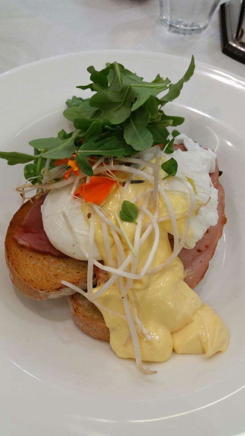 Vida Espresso - Gold Coast Attractions 0