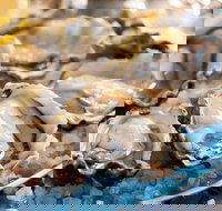 Atrium - Gold Coast Attractions