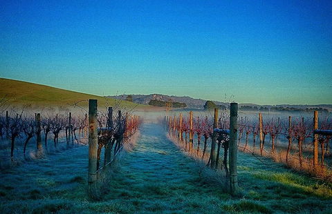 Eastern Peake Winery - Gold Coast Attractions 0