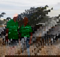 Milawa Organic Beef - Gold Coast Attractions