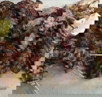 Pita Wrap It - Gold Coast Attractions