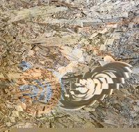 Salt. Coffee Roasters - Gold Coast Attractions