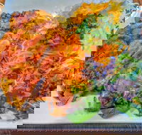 Suzuya - Gold Coast Attractions