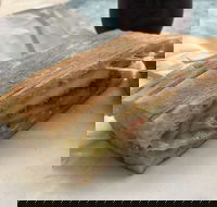 Vispo Espresso Bar - Gold Coast Attractions