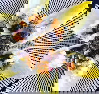 Food Business  Chapel Hill - Gold Coast Attractions