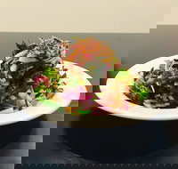 Mai Jia - Gold Coast Attractions