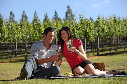 Nepenthe Wines - Gold Coast Attractions 1