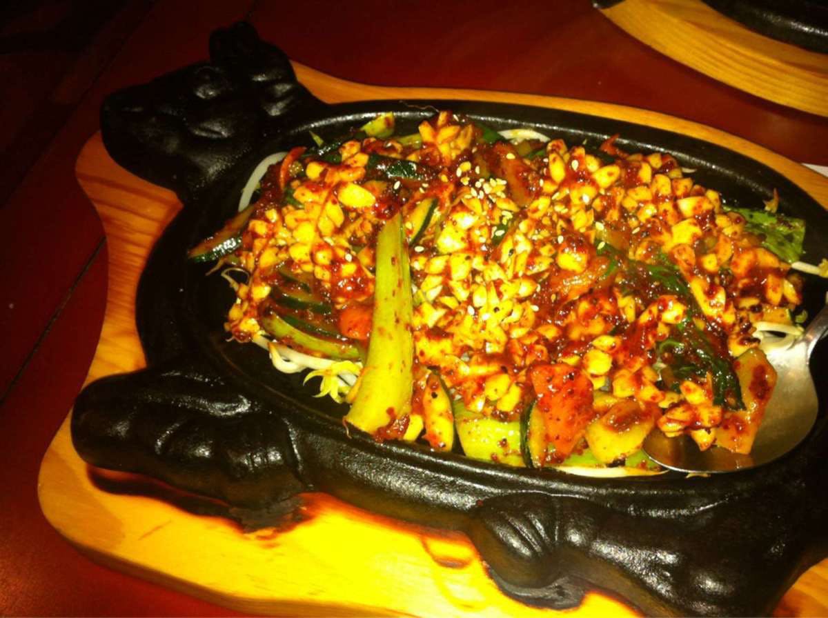  Gold Coast Attractions