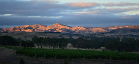 Sedona Estate - Gold Coast Attractions 0