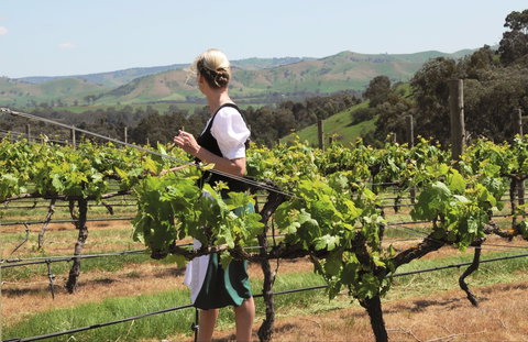 Sedona Estate - Gold Coast Attractions 1