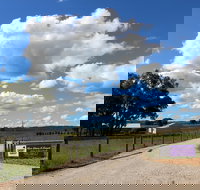 Short Sheep Micro-Winery - Gold Coast Attractions