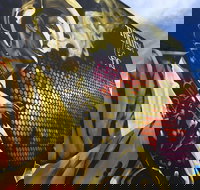 The Moldy Fig - Gold Coast Attractions