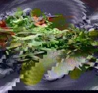 Bellbird - Gold Coast Attractions