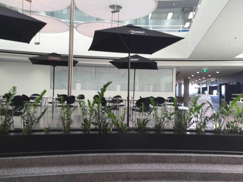 D Cafe - Gold Coast Attractions 0
