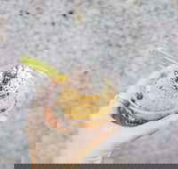 Spice Cottage - Gold Coast Attractions