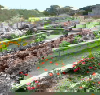 The Farmer's Place - Gold Coast Attractions