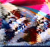 Donut King - Epping - Gold Coast Attractions