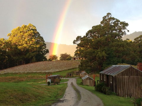 Hartzview Vineyard - Gold Coast Attractions 0
