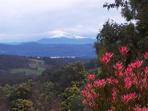 Hartzview Vineyard - Gold Coast Attractions 1