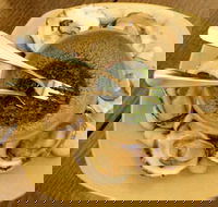 The Cottage Scone - Gold Coast Attractions