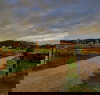 Baarmutha Wines - Gold Coast Attractions