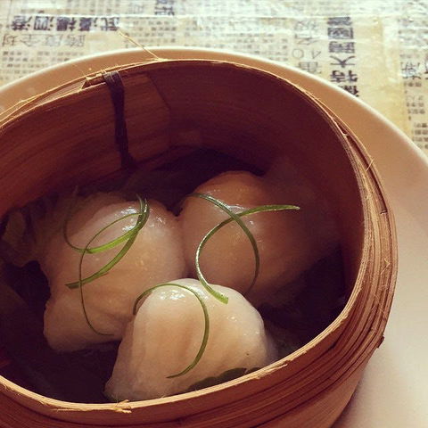 Dumplings & Beer - Potts Point - Gold Coast Attractions 0