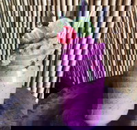 Jungle - Gold Coast Attractions