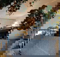 Pinkie - Gold Coast Attractions