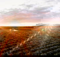 Rich Glen Olive Farm - Gold Coast Attractions