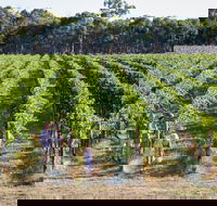 Weathercraft Wines - Gold Coast Attractions