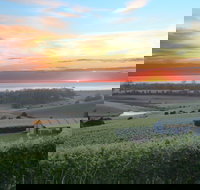 Cape Bernier Vineyard - Gold Coast Attractions