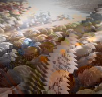 Pompadours Chocolate House - Gold Coast Attractions