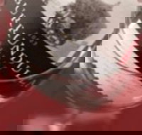 Burrundulla Vineyards - Gold Coast Attractions