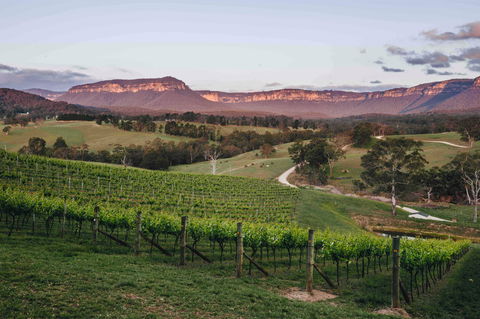 Dryridge Estate - Gold Coast Attractions 0